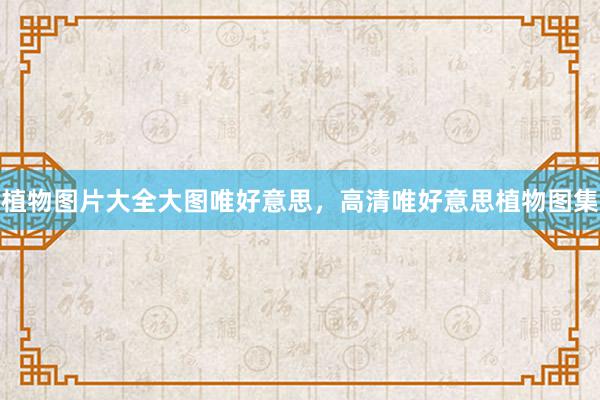 植物图片大全大图唯好意思,高清唯好意思植物图集