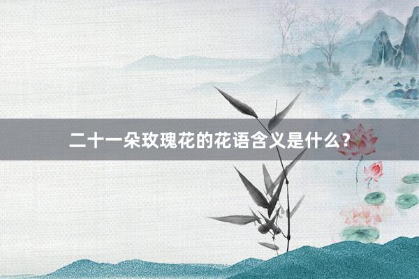 二十一朵玫瑰花的花语含义是什么？