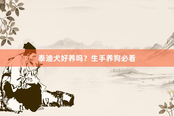 泰迪犬好养吗?生手养狗必看
